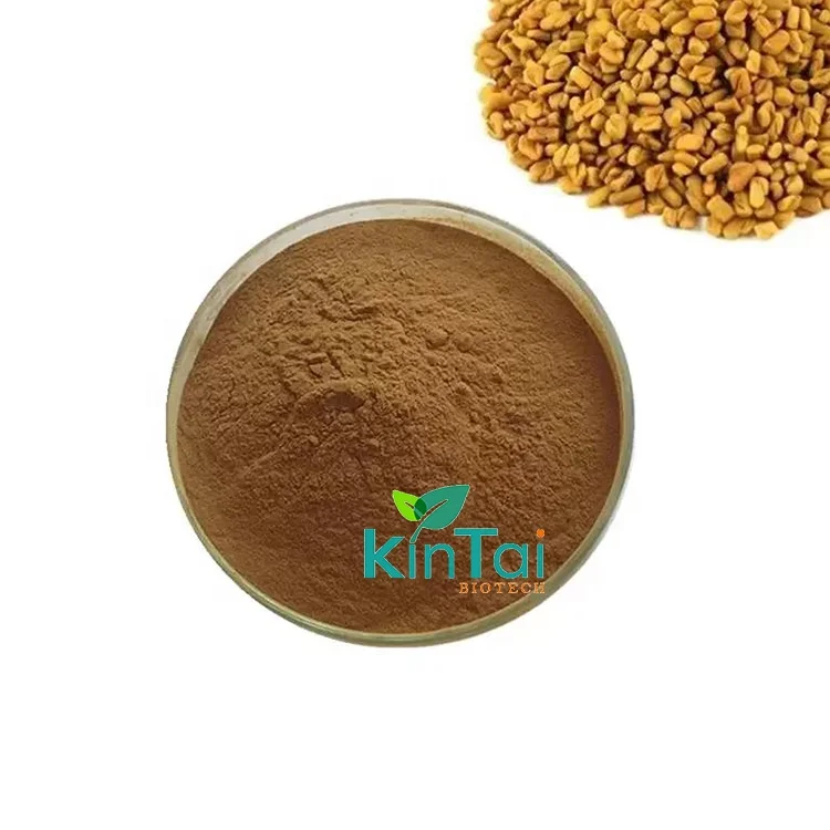 Fenugreek Seed Extract Powder Trigonella Foenum Graecum Extract Saponin 50 Buy Fenugreek Seed