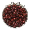 Resin cat's eye beads - red