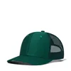 Dark green net