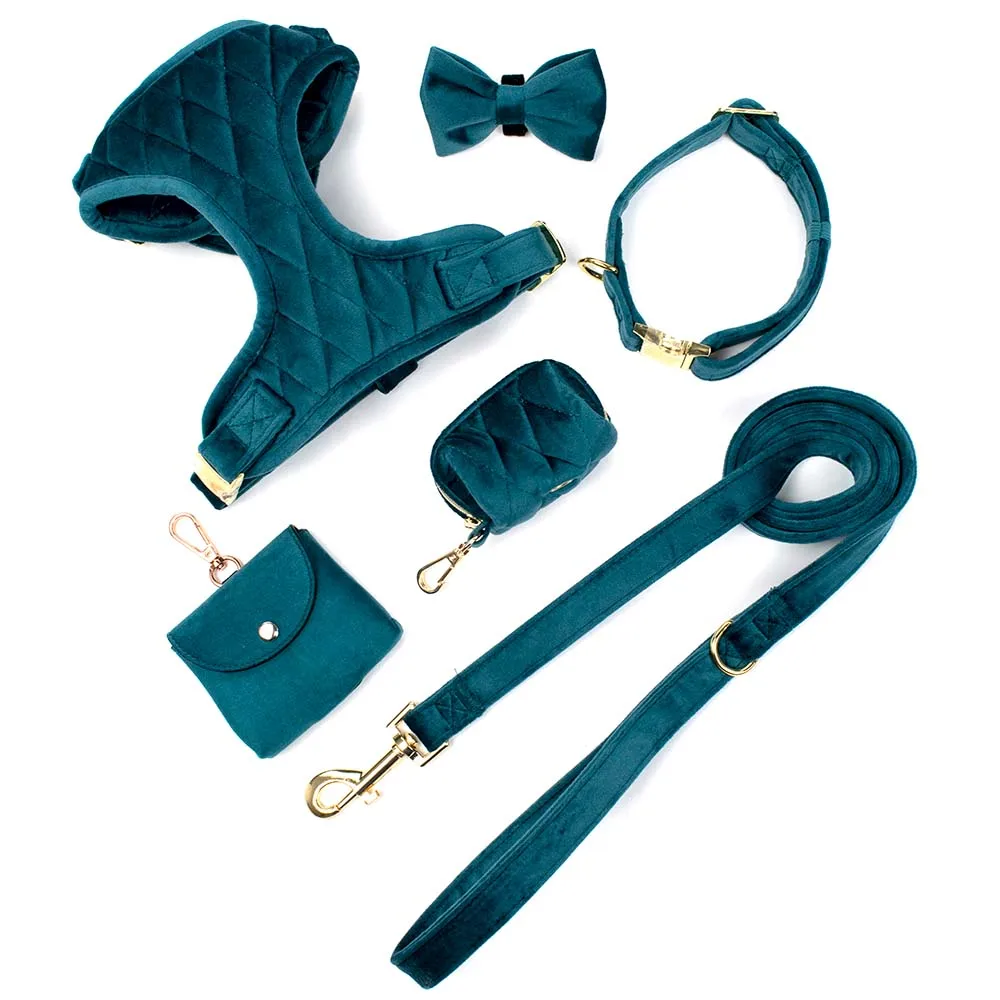 Personalized Design Pet Dog Harness Set Dog Training Collar And