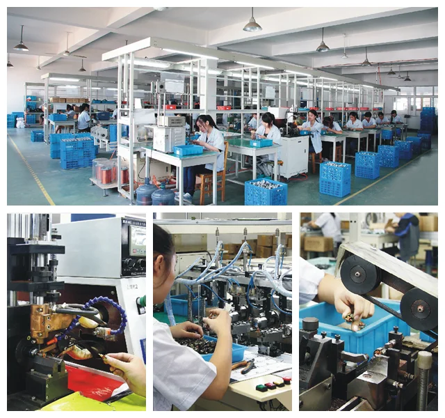 Ningbo FST United Imp. & Exp. Co., Ltd. 1