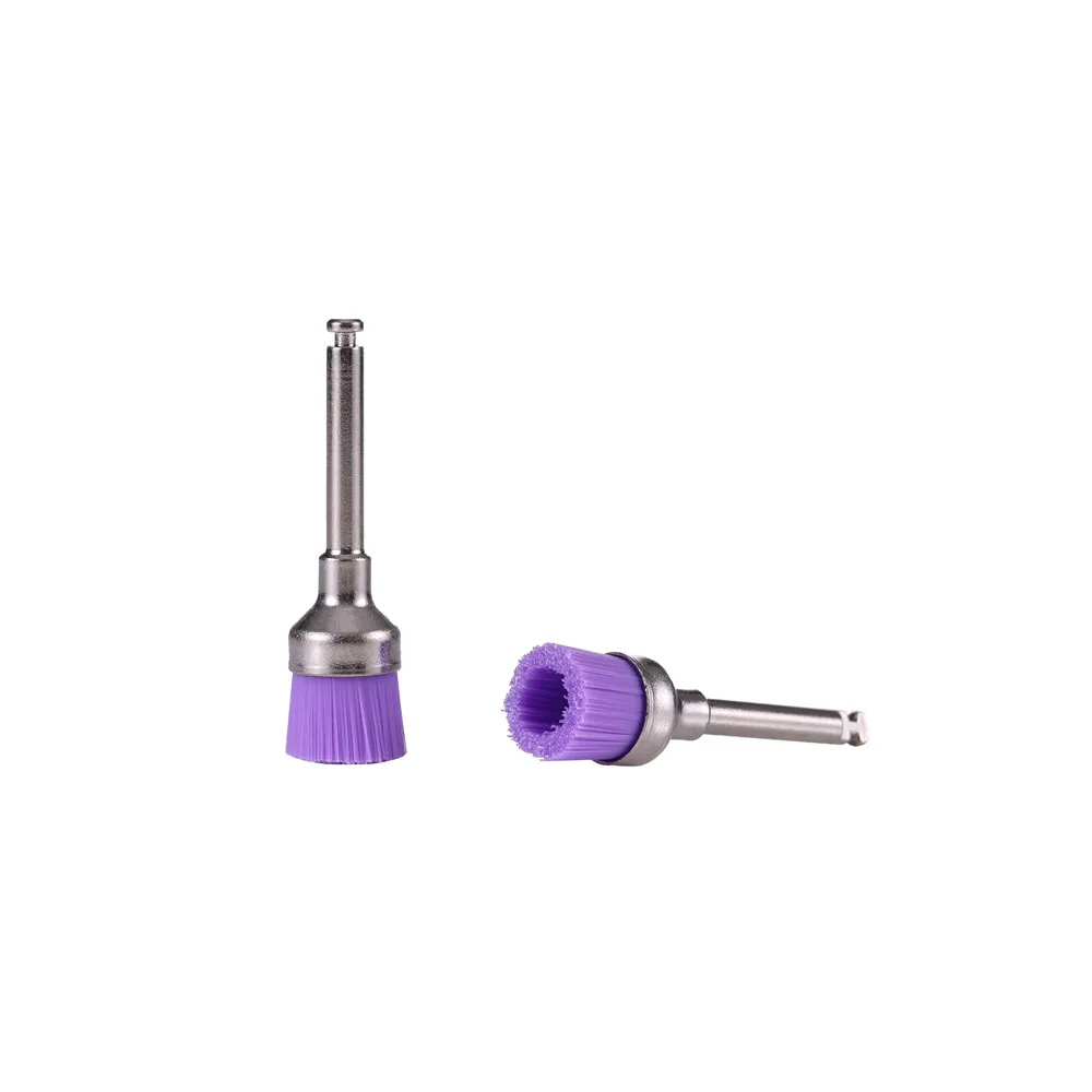 Sj High Quality Dental Prophy Brush Colorful Latch Dental Prophylaxis