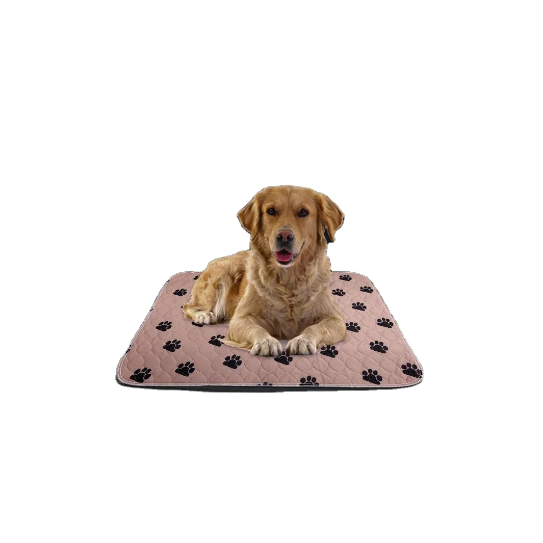 Foldable Soft Quick Drying Pet Training Pee Pad