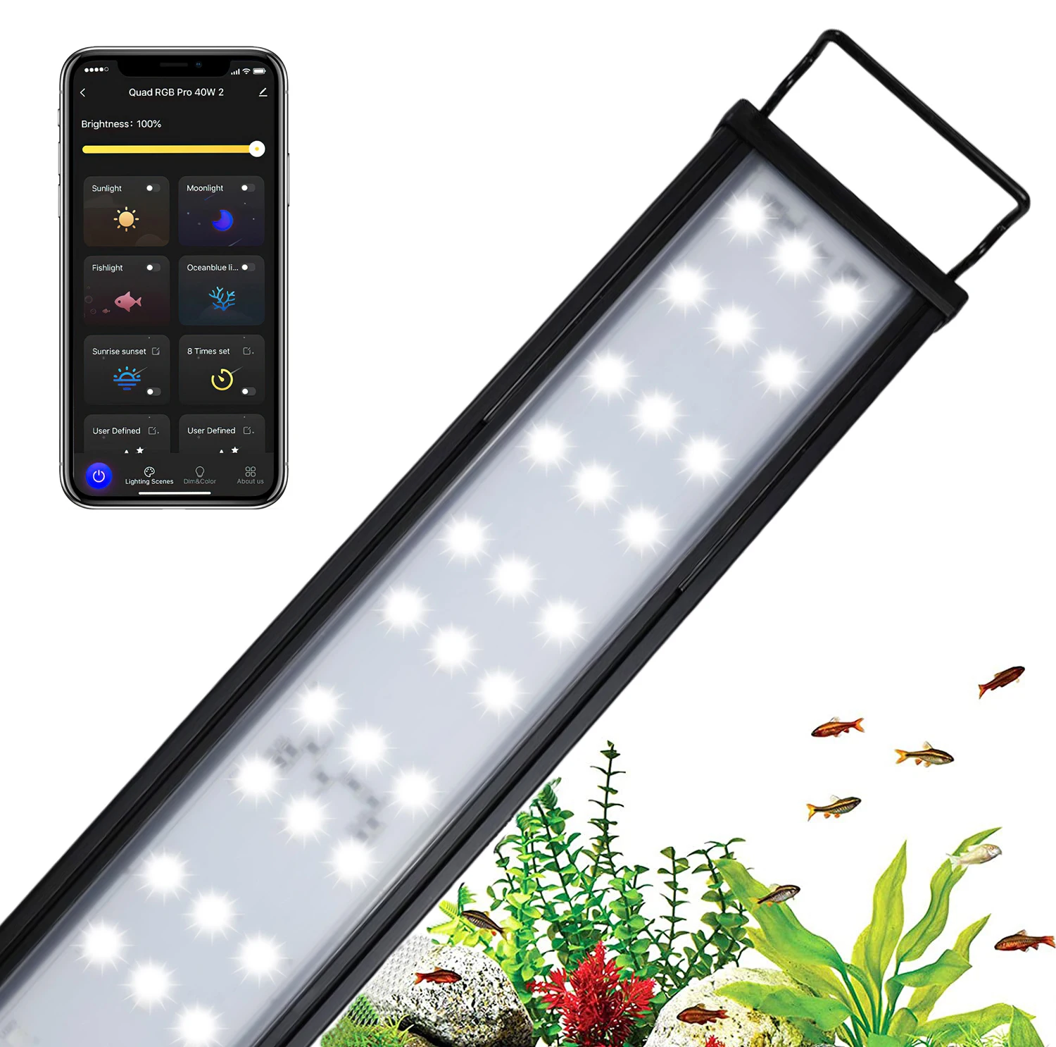 Zaohetian Smart App Phone Controls The Sunrise And Sunset Plants Lights
