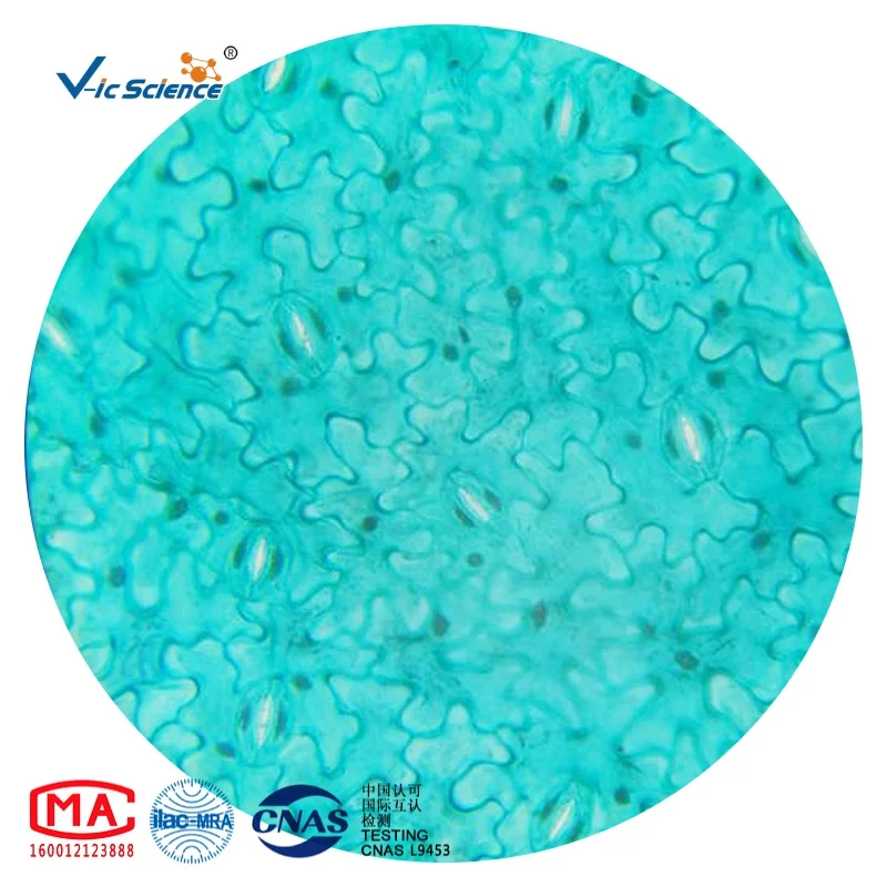 50 Pcs Biology Microscope Prepared Slides Plant Animal Histology