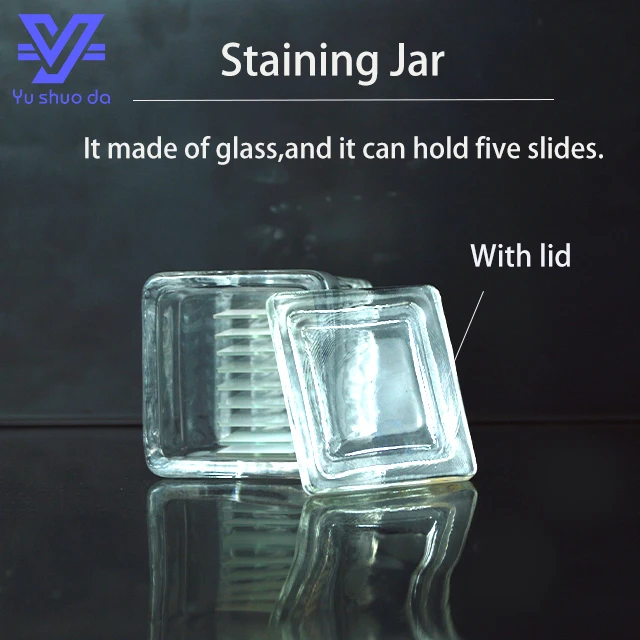 microscope slides staining jars