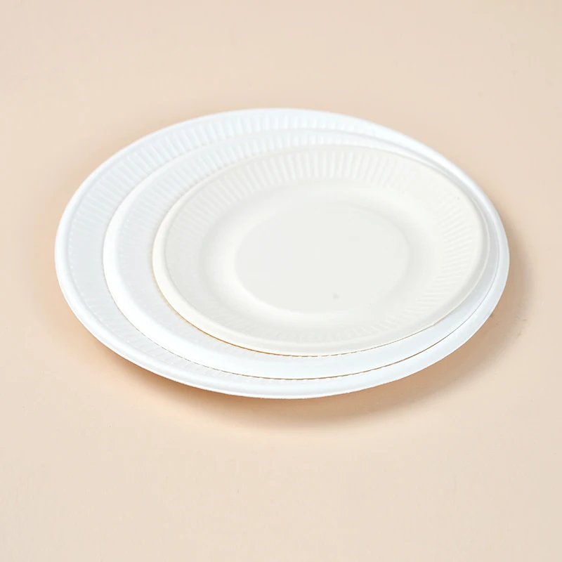 Disposable Biodegradable Plates Sugarcane Bagasse Paper Pulp Mould 6