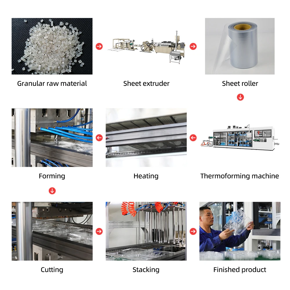 Thermoforming Machine for Pet Fruit Container Chocolate Box Cheese Box