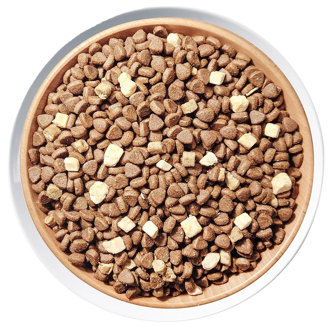 Can You Refrigerate Dry Dog Food