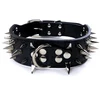 silver spikes Black