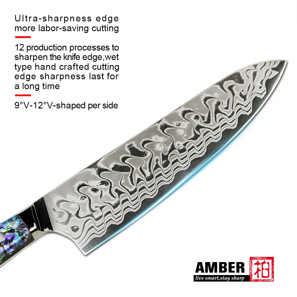 Custom Logo 67 Layer Vg10 Japanese Damascus 2pcs Chef Knife Set with Honing Steel