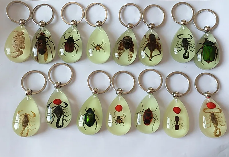 newest trending real insect charm pendant| Alibaba.com