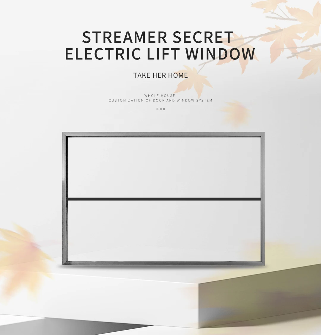 Custom Windows Quality Assurance Vertical Opening Aluminum Power Lift