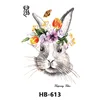 HB-613