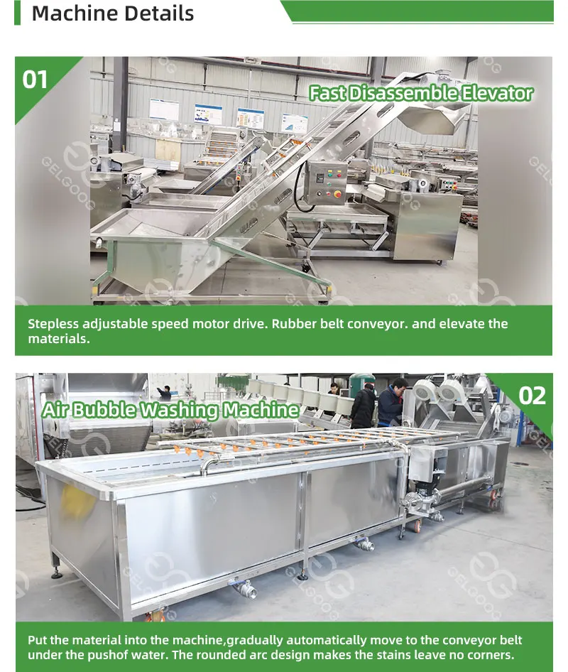 Industrial Dates Washing Sorting Drying Production Line Machine Fruit ...
