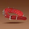 XQ068 Red Studded Collar
