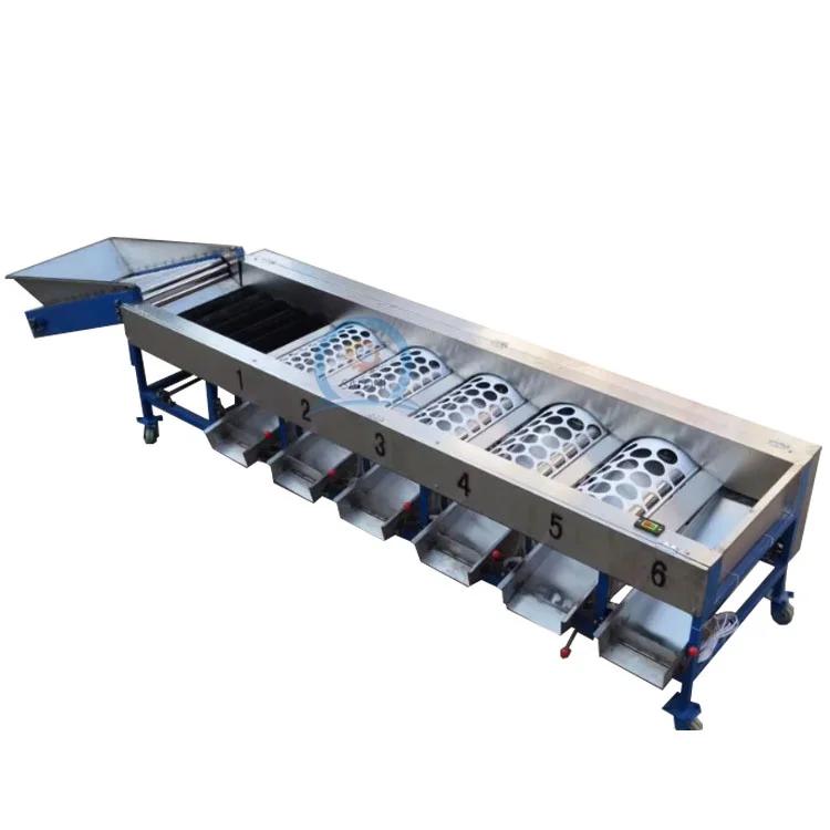 Fully Automatic mango Date Cherry Vegetable Fruit Olive Garlic Size Grading Sorting Machine for Fruit and Table