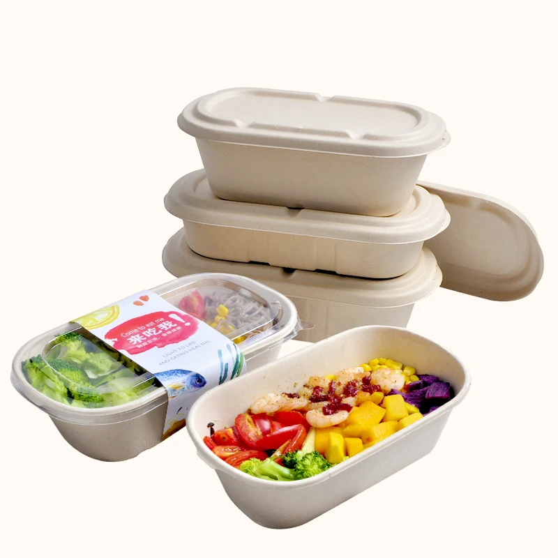 SenAng Disposable Biodegradable Sugarcane Bagasse Pulp Food Container Take Away Lunch Box with Lid