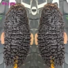 Burmese Curly
