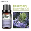 SY5522-17Rosemary