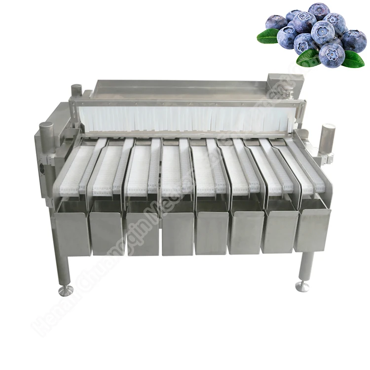 Blueberry Sorter Processing Machines Multihead Weigher Blueberry Filling Machine