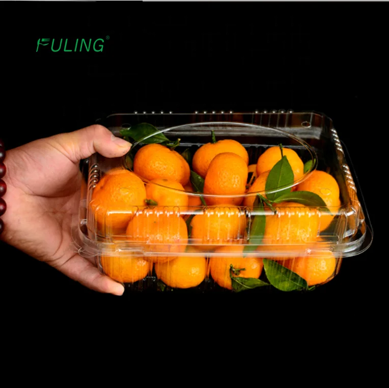 Auear Confezione Da 5 Carote Finte In Plastica E Schiuma, 21x4.5 Cm, Con Foglie Verdi, Realistiche Per Decorazioni, Mercati, Cucina E Supermercato