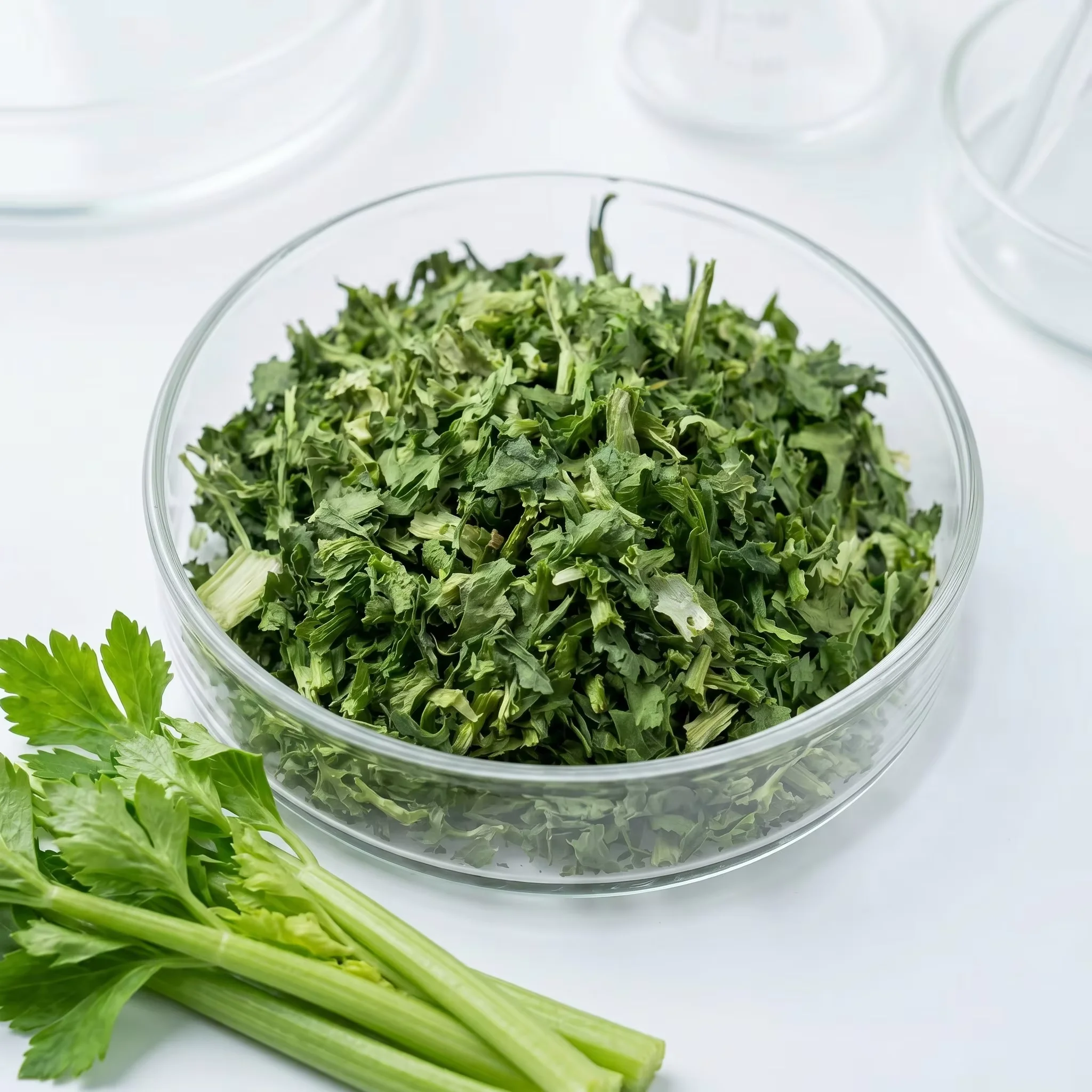 Bulk Dehydrated Coriander | Wholesale Supplier Hc2499eba75444f1bbb38e2301ef0722cU