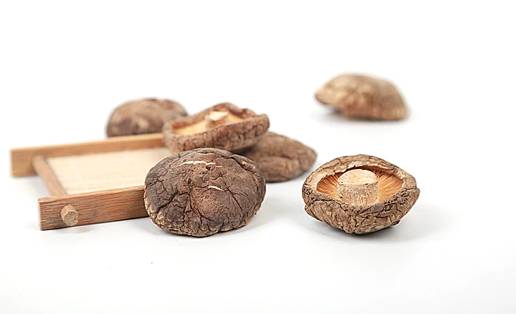 Цветочный гриб