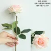 #1-7 viola rosa