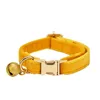 corn yellow