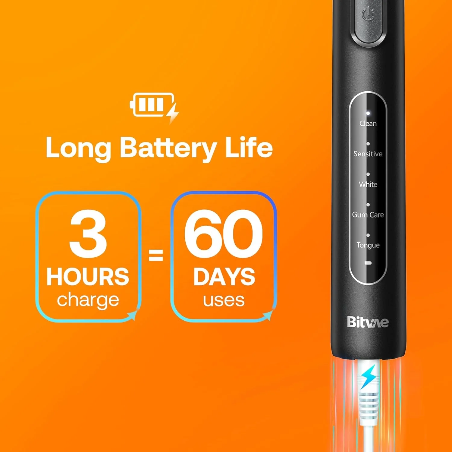 Bitvae BV R1 Rotating Electric Toothbrush with 8 Brush Heads for Adults and Kids