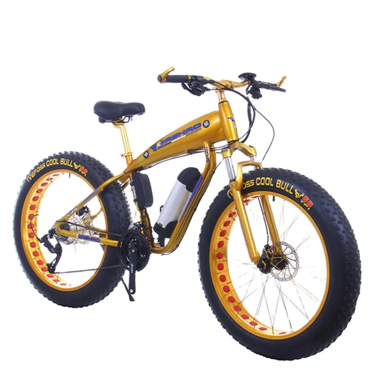 48v electric bike 750w cycle delivery mini mid motor from china electric off-road bikes 48v 1000w electric bike 1000w fat tire