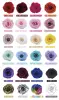 rose chart