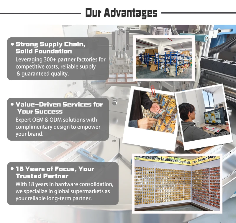 Expansion Anchor with Hook Strong Wall Fixing Fastener for Hanging and Home Installation factory