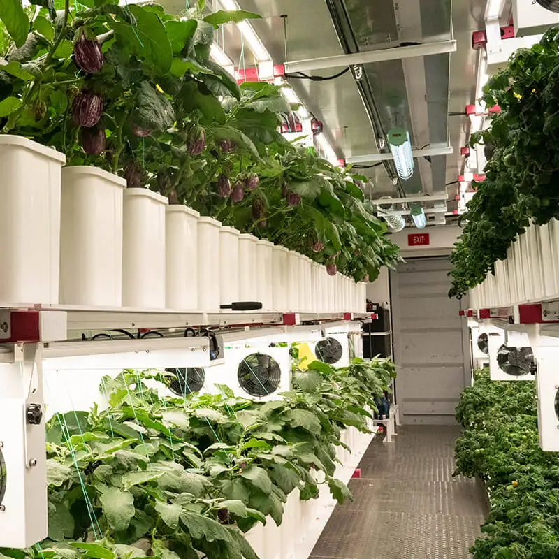 Smart Climate Control Growing Box Climate Chamber Vertical Aeroponic Farming Smart Farm System