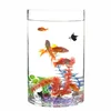 20cm in diameter, 20cm in height -- Property purchase