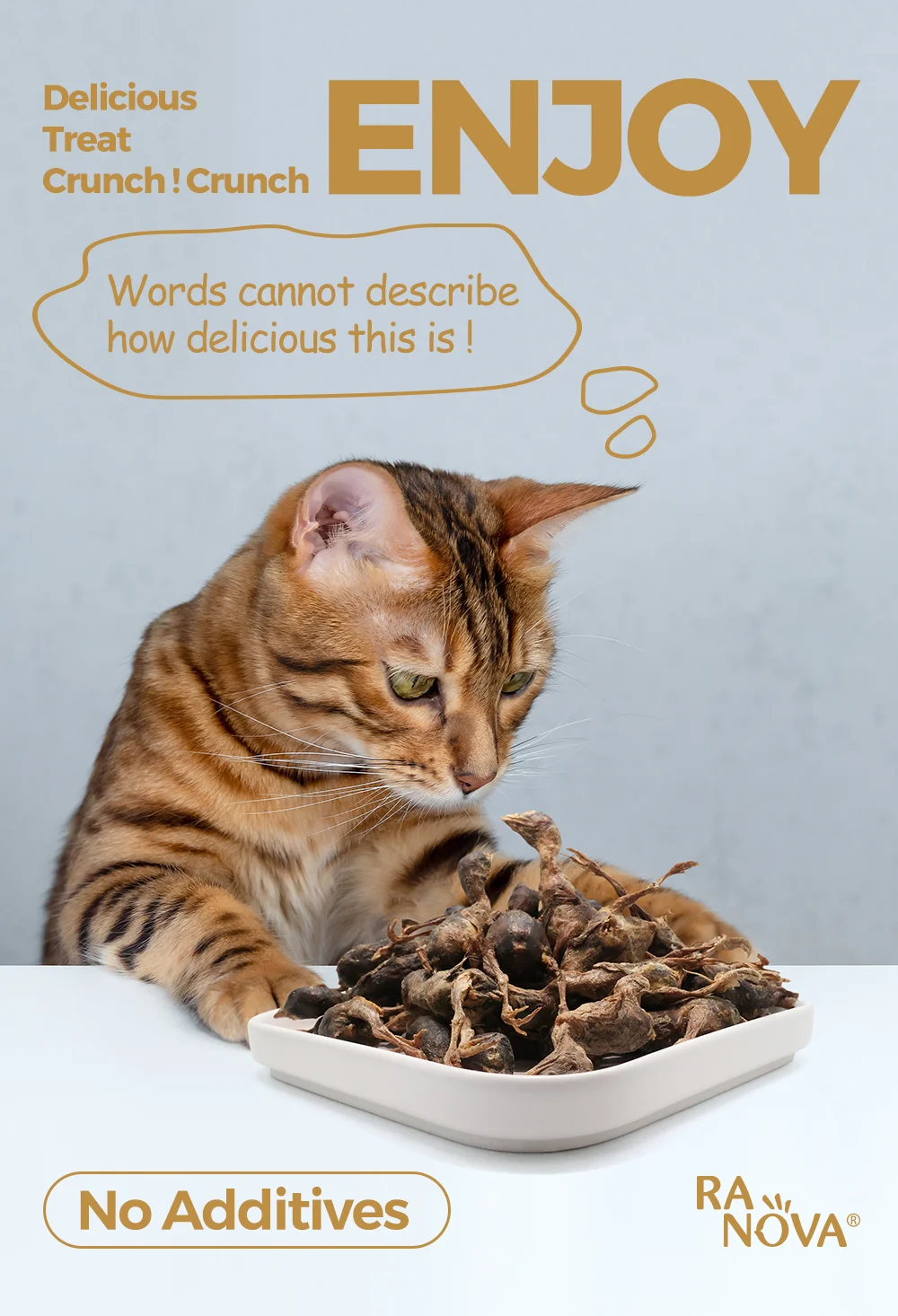 Ranova Freeze Dried Quail Dry Quail Cat Treats Cat Food Buy Pet