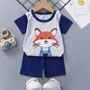 Ensemble court-petit renard