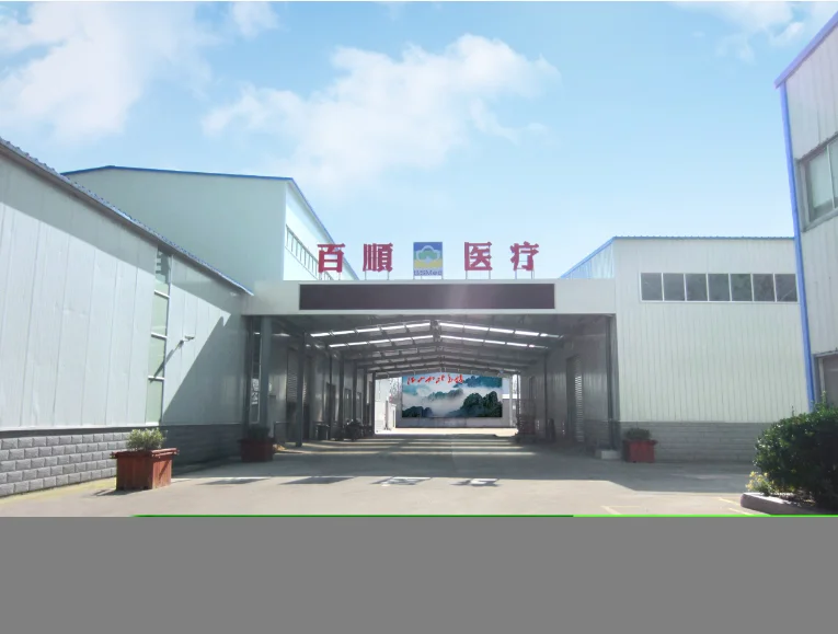 Jiangsu Baishun Medical Group Co., Ltd.