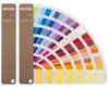 สีที่กำหนดเอง