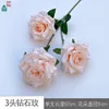 กุหลาบเพชร 3 หัว HYD สีแชมเปญอ่อน