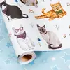 White - Cat - Lovely Kitty