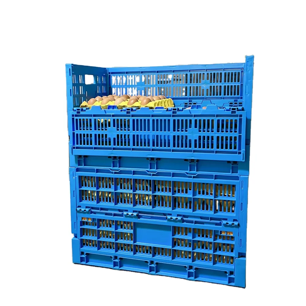 Hot Sale Plastic Crate for Egg Trays Collapsible Plastic Storage Crates Mesh Ventilate Folding Plastic Crates