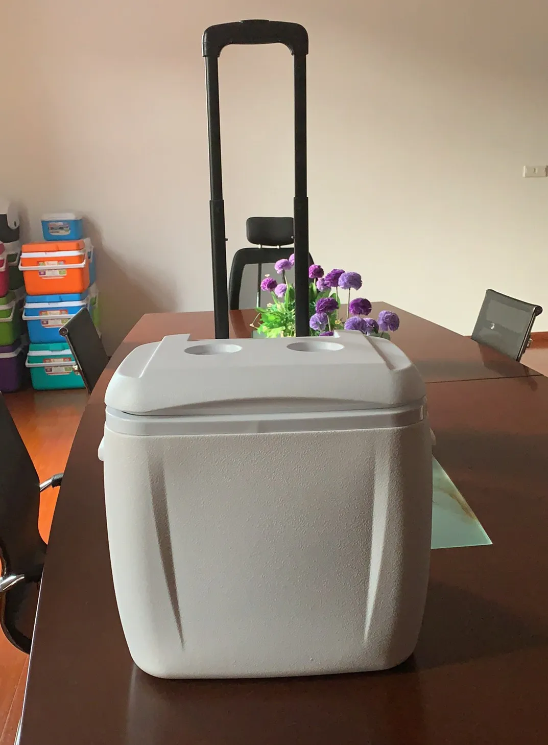 38l 13l Cooler Box Set Picnic Portable Fishing Trolley Plastic Ice