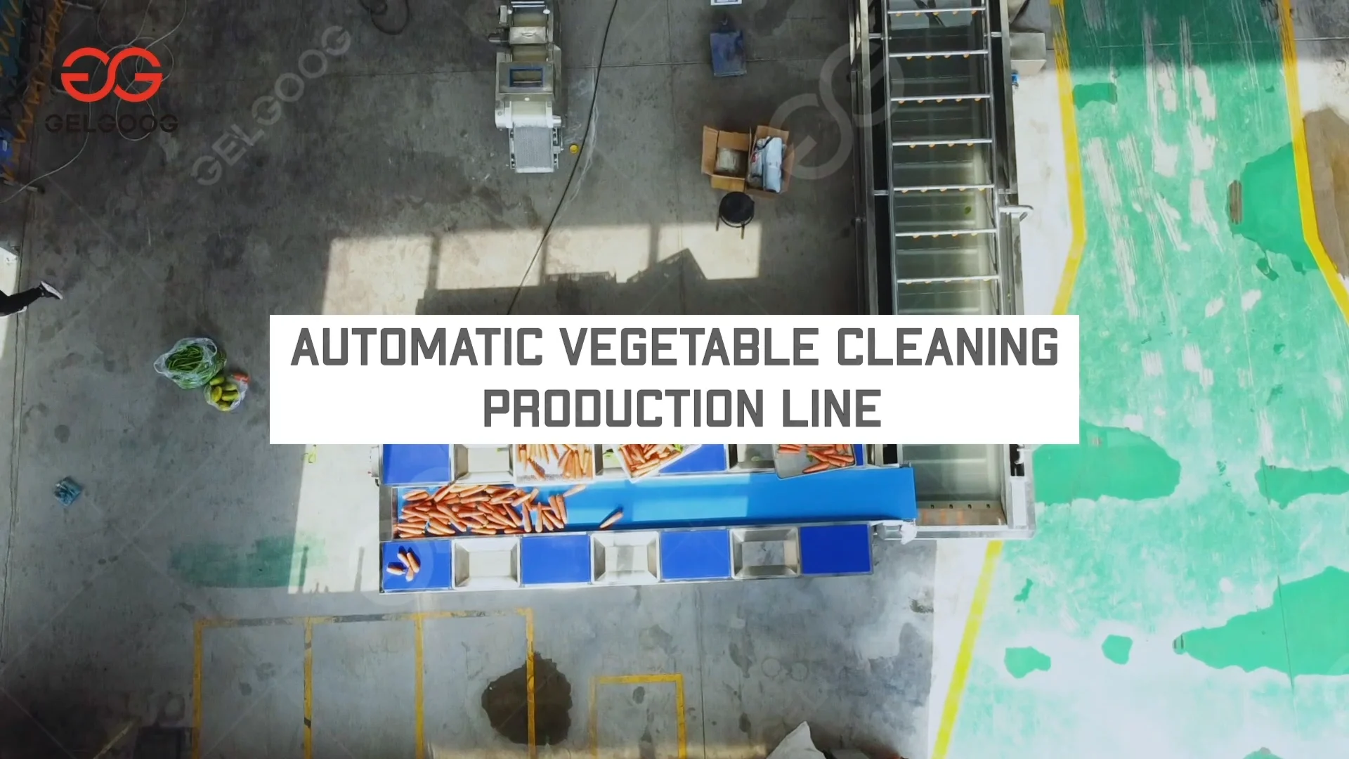 Small Scale Agricultural Washing Fruit Washer Line Olive Clean Machine