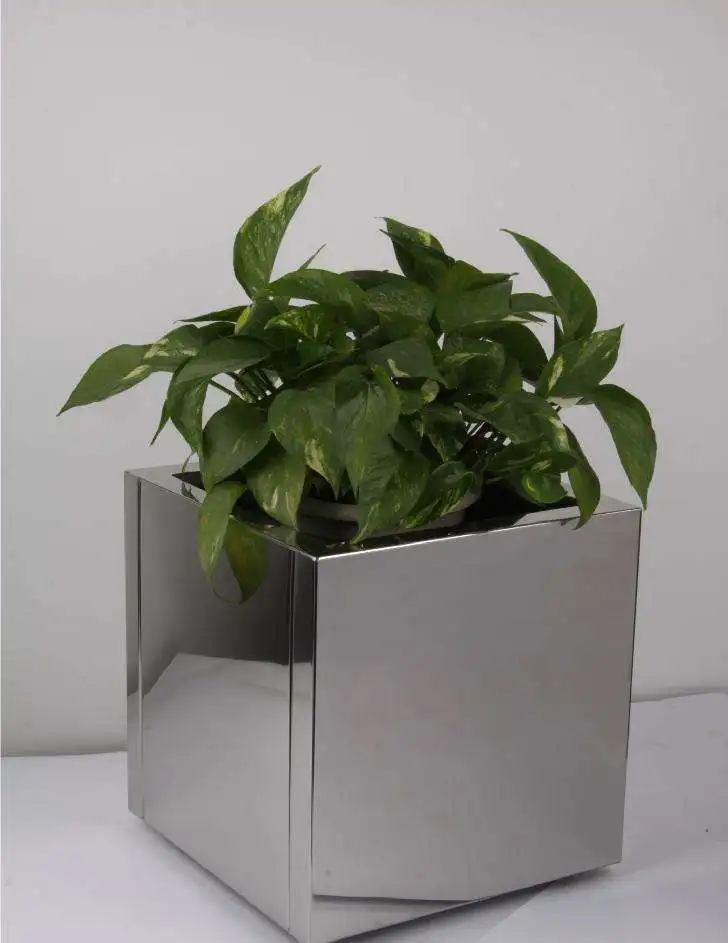 Stainless Steel Plant Containers