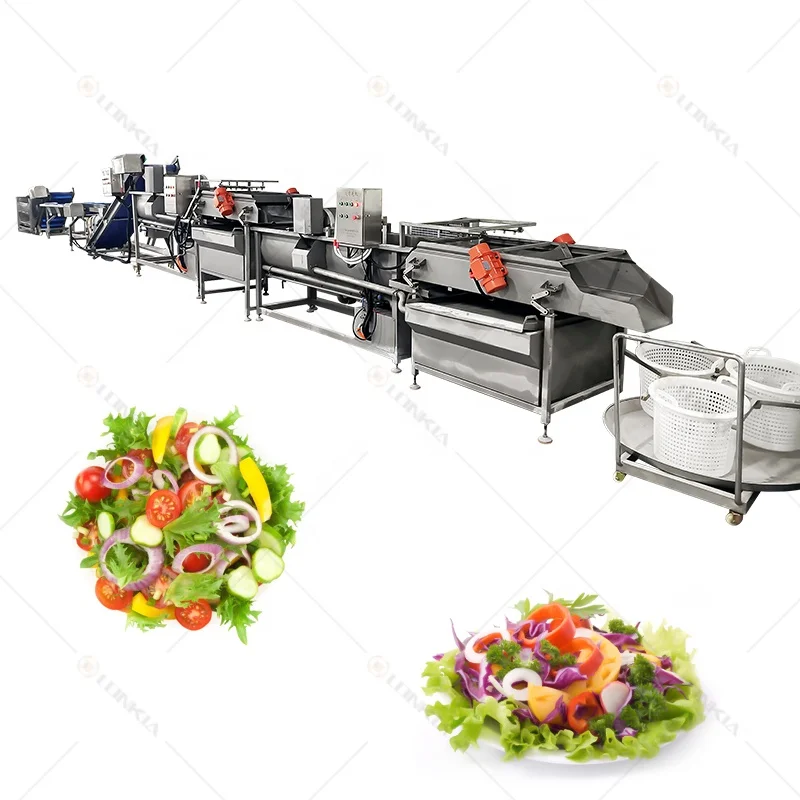 Vegetable Salad Processing Line