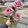 วางกุหลาบถั่ว3หัว