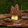 No. 1 Mushroom