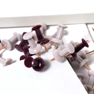 Business Tone Mixed I-Shaped Pushpins 120-Piece Set Elegant Boxed a Premium Option for Office Organization